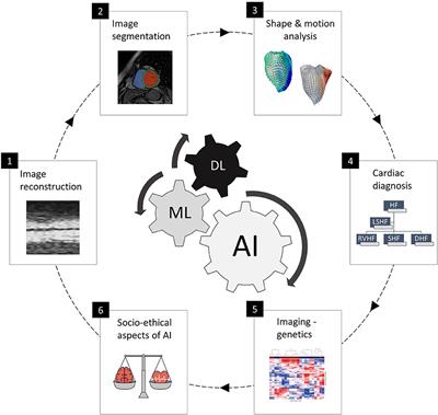 imaging intelligence artificial cardiac role future frontiersin medicine cardiovascular current editorial